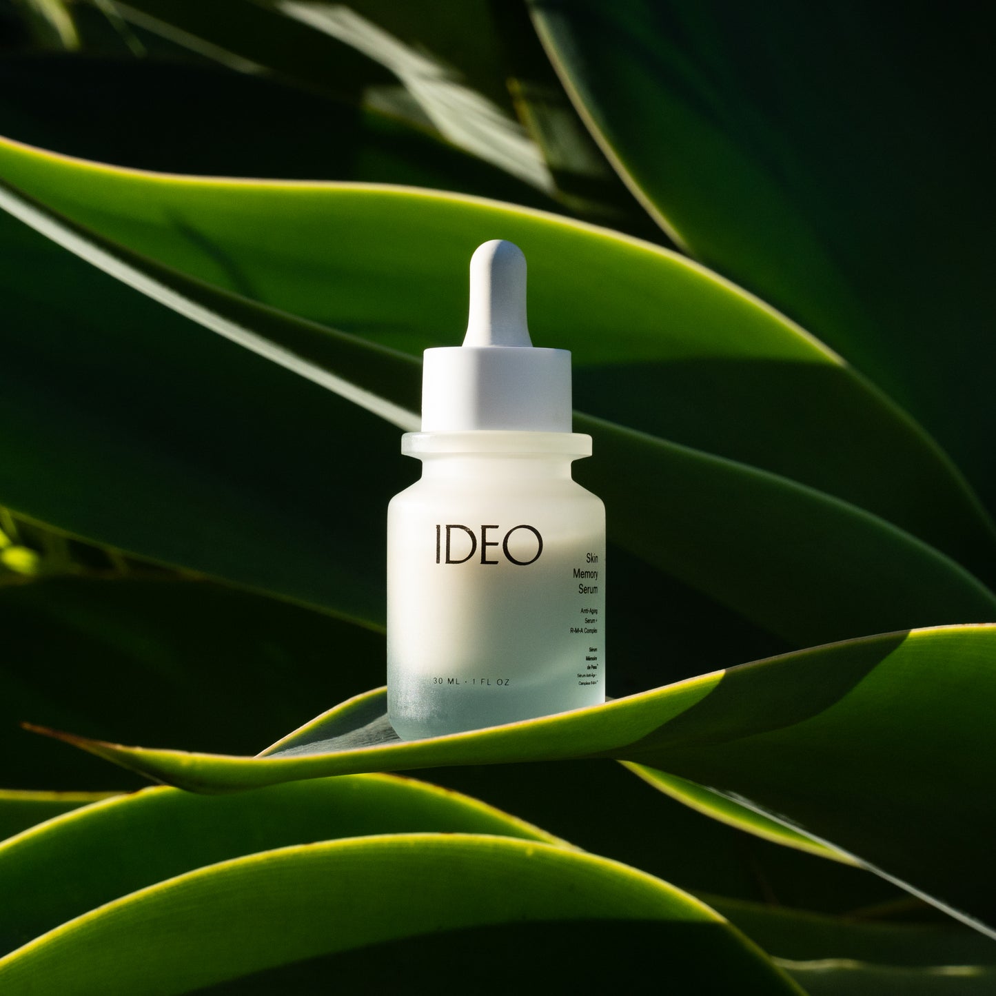 Skin Memory Serum